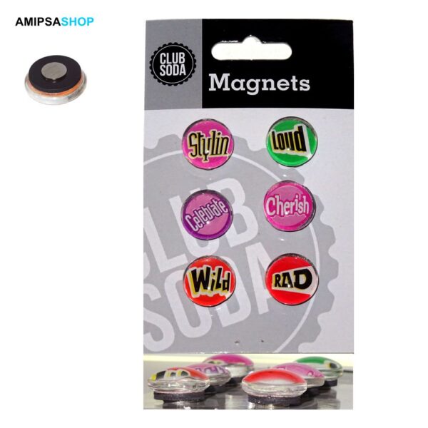 Magnete 6er trendform
