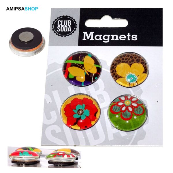 Magnete 4er trendform