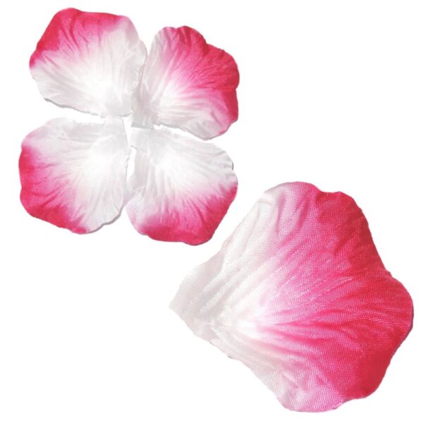 Rosenblätter Pink-Weiss