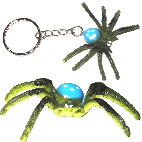 Spinne