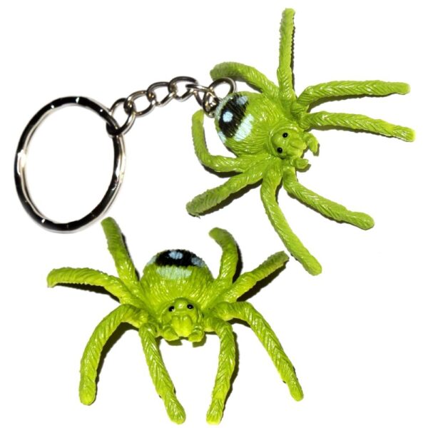 Spinne