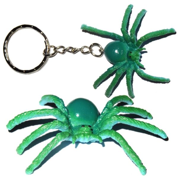 Spinne