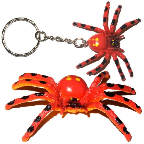 Spinne