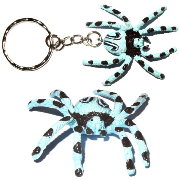Spinne