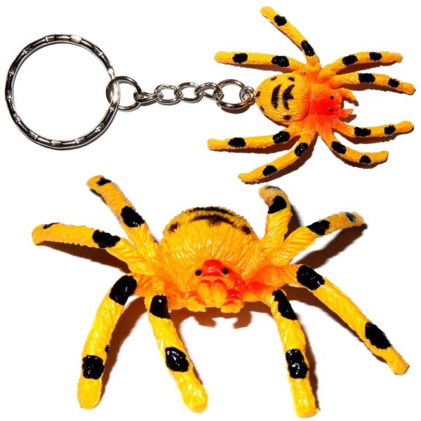 Spinne