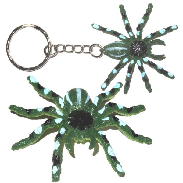 Spinne