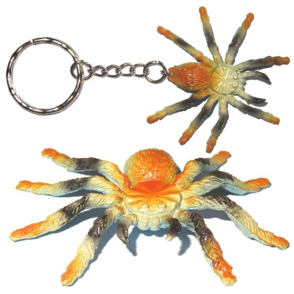 Spinne