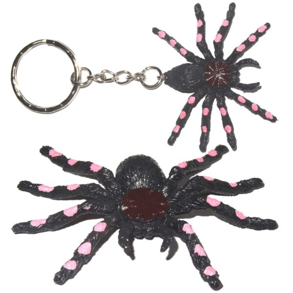 Spinne
