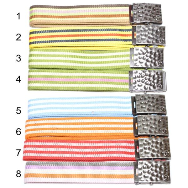 Classics Gürtel Canvas Belt – Bild 2