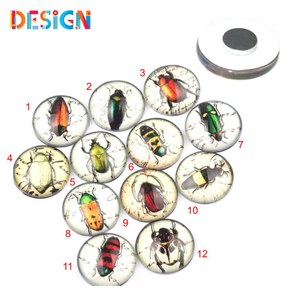 Magnet Design – Bild 2