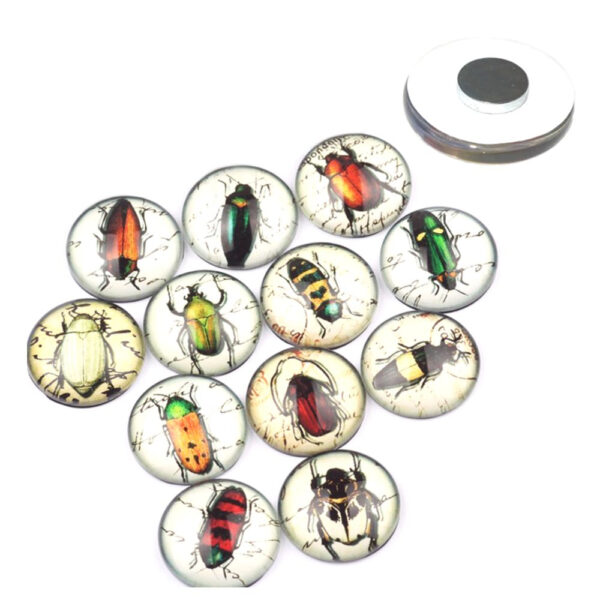 Magnet Design