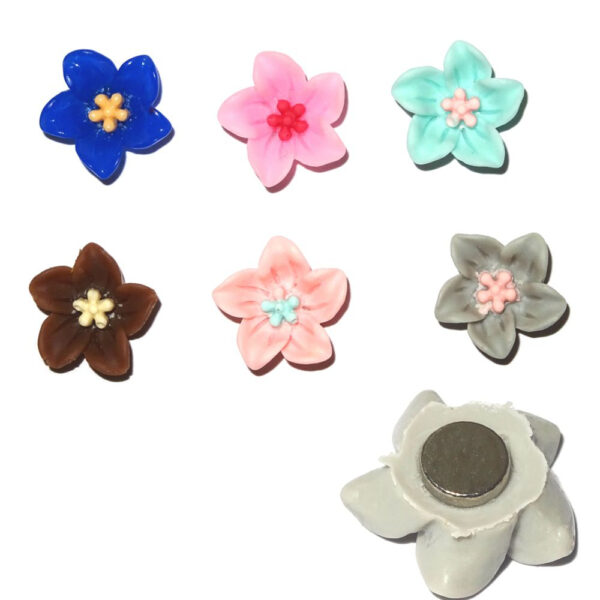Magnet Design